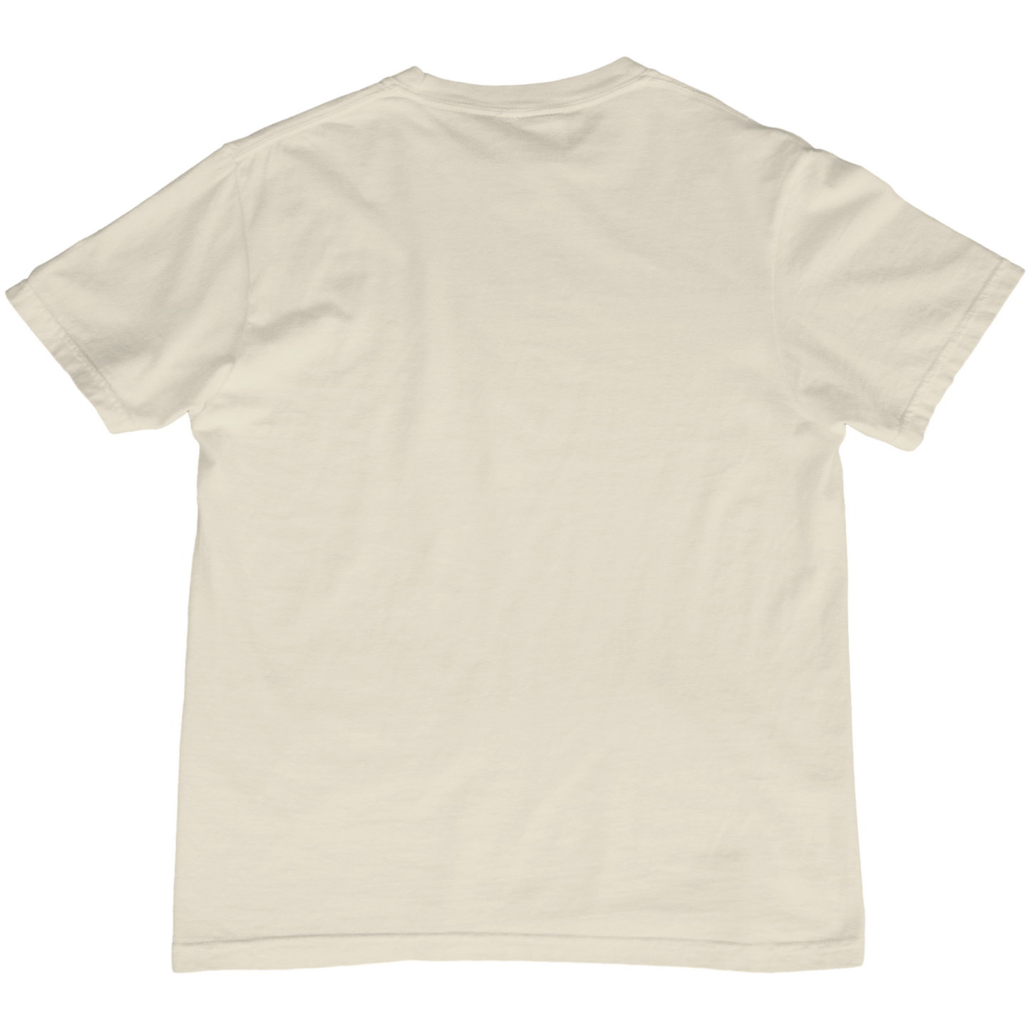 Vintage Style Red Hot Chili Peppers Graphic Tee