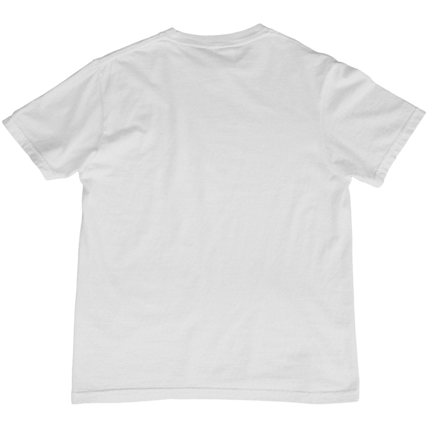 Chuck Norris Periodic Table 2000s Y2K Tee